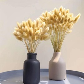 DTXMOH Bunny Tails Dried Flowers 120 Stems, 17“ Dried Lagurus Natural Rabbit Tail Grass Bunch for Vase Fillers, Wedding, DIY Crafts, Rustic Farmhouse Décor