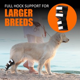 NeoAlly Dog Rear Leg (One Leg) Hock Brace, Canine Leg Wrap for Hind Leg, Ideal Hock & Ankle Support and Protection for Sprain Recovery, Achilles Tendon Injury (Extra Large (Left Leg))