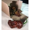 Chocolate Bhutlah Ultra Hot Pepper Dried Whole Pods 5 Pack