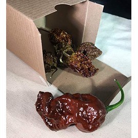 Chocolate Bhutlah Ultra Hot Pepper Dried Whole Pods 5 Pack