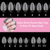 Almond Nail Tips, Short, Pack of 510 Full Cover Nail