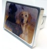 Hitchpals Company 3 Labradors Hitch Cover