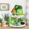 SURCVIO 6 Pack St Patricks Day Tiered Tray Decorations Gnomes