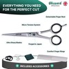Blizzard Professional Hairdressing Scissors - Japanese 420 Steel Micro-Serrated Hair