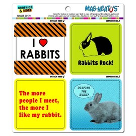 Graphics and More Bunny Rabbit Love Mag-Neato's Automotive Car Refrigerator Locker Vinyl Magnet Set