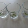 chamyiseul 2 of KOREAN SOJU SHOT GLASS CUP Cham Yi
