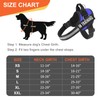Essential Dog Harness, No Pull Pet Harness with 3 Side