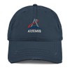 MTN TOOL Artemis Distressed Dad Hat, NASA Hat, NASA Gift