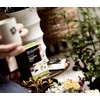 REVOLUTION TEA® Sencha Green Tea [THE ORIGINAL] – Tokyo Sencha
