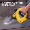 Wagner 2460111 505e Handheld Steam Cleaner, Multi-purpose Steamer, 11 Attachments,