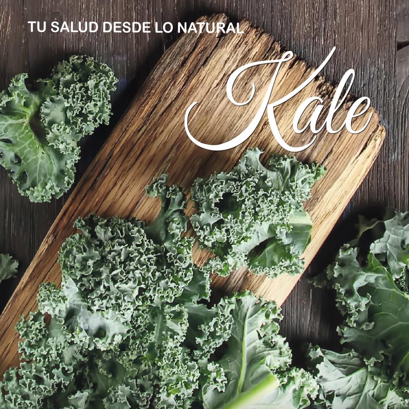 Kale Frutal Health Toyo Group, 100g