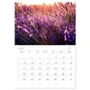 Lavender - The purple miracle flower (Monthly Wall Calendar 2025