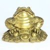 Gold Frog Collecting Goods (Kinseng/Squirrel) Three-legged Frog Three-legged Frog Fortune