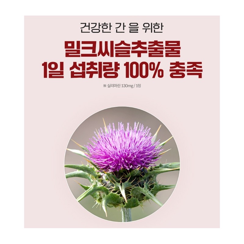 Milk Thistle Benefits Nutrient Good for the Liver Liver Fatigue