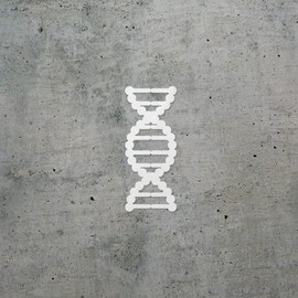 Decal Stickers of DNA Silhouette 1 (White) (Set of 2) Luxury Weatherproof Vinyl Decal Stickers for Laptop Desktop Smartphone Car Dirt Bike Wall Room Mason Jar Bathtub Door ANDstic009965WH03.24.22