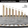 LUDACOO 8.5" Trampoline Springs, Heavy Duty Stainless Steel Trampoline Accessories
