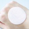 cellimax Celimax Houttuynia cordata Baja eraser pads 60 sheets (2)