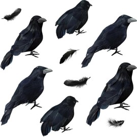 EIGYO 6 Pieza Negro Cuervo Decoraciones de Halloween Decoración de Aves - para al Aire Libre, el hogar y más con Halloween Negro Cuervos emplumados
