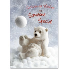 doodlecards Someone Special Christmas Card Polar Bear and Snowball Medium Size Christmas Card for Someone Special with Plain Envelope