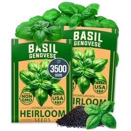 HOME GROWN Genovese Basil Seeds 2 Pack - 3500 USA Sourced, Non-GMO Heirloom Basil Seeds for Planting (Ocimum basilicum) - Herb Seeds for Indoor & Outdoor Gardening - Grow for Culinary Use