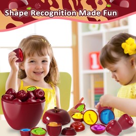 Caunedy 24PCS Apple Shape Sorting & Matching Toys, Color & Shape Recognition Games for Toddlers 3+ Years, Sensory Educational Kit with Apple-Shaped Storage Basket, STEM Toy for Kids