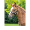 Shires Nylon Foal Slip: Navy Blue