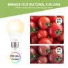 Sigalux EnergyPro, High-Efficiency LED Light Bulbs 60W Equivalent A19 2700K