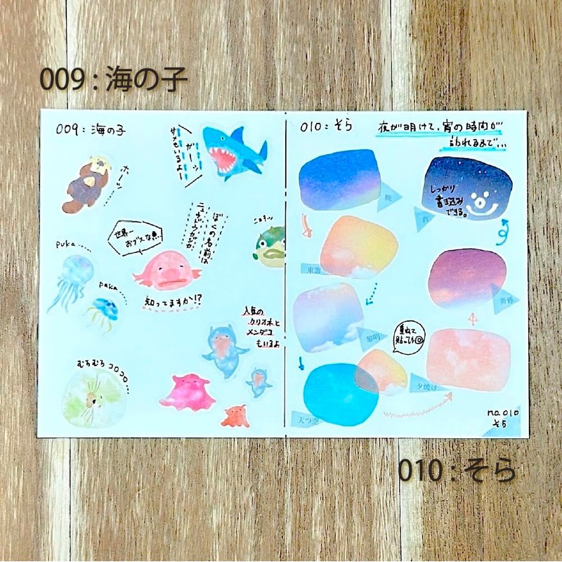 Epoch Chemical 1313-0630 Roll Seal Caracallapellitte Umiko