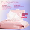 The Face Shop Rice Water Bright Makeup Remover Wipes for