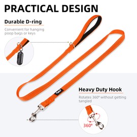 PUPTECK Reflective Dog Leash with Comfortable Padded Handle Durable Nylon Dog Lead for Small Medium and Large Dogs Cats Walking Running Training Outside, Orange