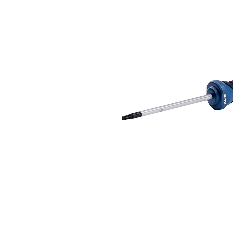 Bosch Professional Torx Screwdriver TX15 x 75 mm