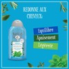 Le Petit Marseillais 2-in-1 Shampoo Anti-Dandruff Mint Organic and Essential