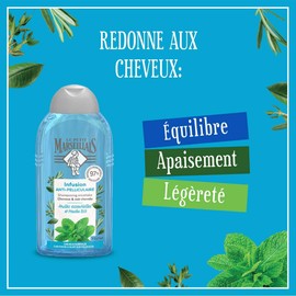 Le Petit Marseillais 2-in-1 Shampoo Anti-Dandruff Mint Organic and Essential Oils 250ml