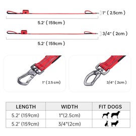 EXCELLENT ELITE SPANKER Strong Durable Nylon Dog Training Leash Traction Rope 5 Feet Long 1" Wide with Poop Bag Holder for Small and Medium Dog(Light Blue)