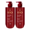 Hambit [려]려 함빛 극손상 앤 영양 컨디셔너 592ml x2 Gentle Care Damage Care and Nourishing Conditioner 592ml x2 [Single item/Unit price]