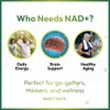 HAZEL'S Choice NAD+ Nicotinamide Adenine Dinucleotide Supplement 500mg, 60 Capsules,