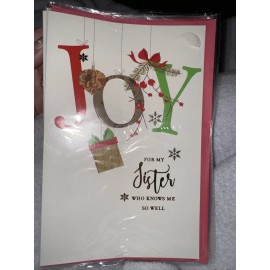 PS greetings Merry Christmas Sister Funny Joy Memories You Know Me So Well Envelope 051