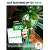 16 Oz Plant Watering Globes for Indoor Plants with Metal