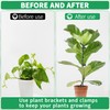 10pcs 15.7" Plant Stakes with 15pcs Clips, Bendable Orchid Stakes