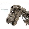 Jextech Esqueleto Tiranosaurio Rex T Rex Dinosaurio Fosil Armar 70cm