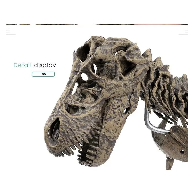 Jextech Esqueleto Tiranosaurio Rex T Rex Dinosaurio Fosil Armar 70cm