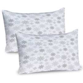 Ambesonne Winter Pillow Sham Set of 2, Ornamental Crystals of Ice Freezing Weather in January Cold Abstract, Quality Microfiber Bedding Item for All Seasons, 30" x 20", Grey White