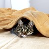 EHC Fleece Blanket Sofa Throw, Cozy Soft Throw Blanket for