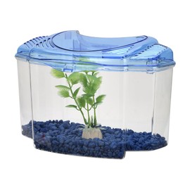 KIT BETERA AZUL 1.8 L