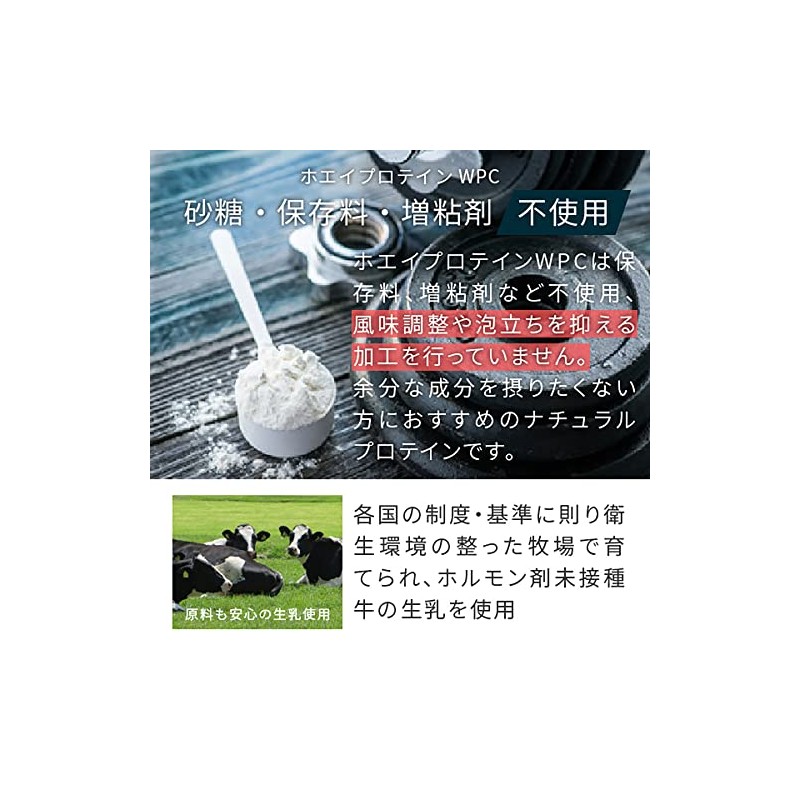 nichie Whey Protein WPC Grass Fed, 3.5 oz (100 g)