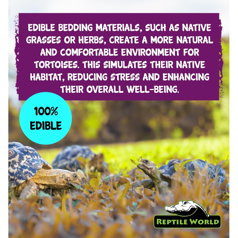 Reptile World Reptile World Tortoise Edible Bedding 300g | Readi
