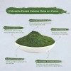 Chlorella Orgánica Pura De Pared Celular Rota 250 Gramos