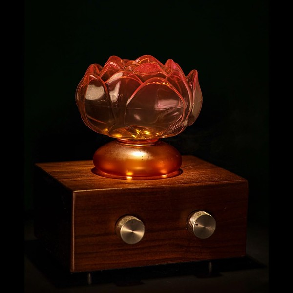 Essential Oil Diffuser with Wireless Speaker, Without Water North American
