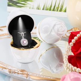iSuperb Rose Shape Pendant Box LED Necklace Case Jewelry Box for Proposal Engagement Wedding Anniversary Valentines Birthday Gift (White)