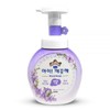 Ikkekke Blooming Purple Hand Wash 250ml Bottle / 아이깨끗해 블루밍 퍼플 핸드워시 용기 250ml